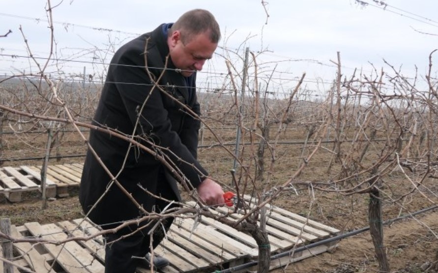 Държавата ще бъде добър партньор на всеки земеделски производител заяви